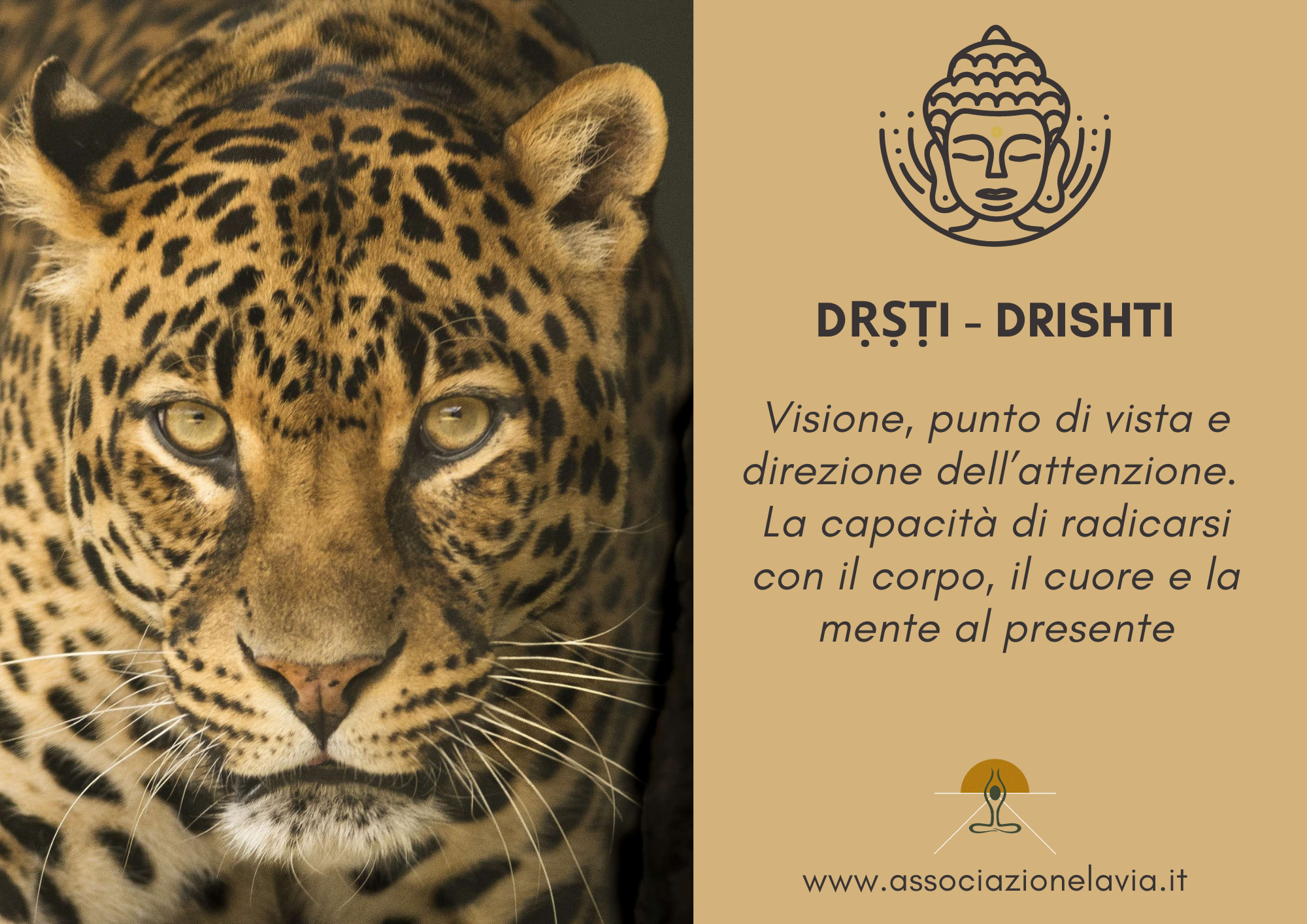 Drishti yoga villapizzone